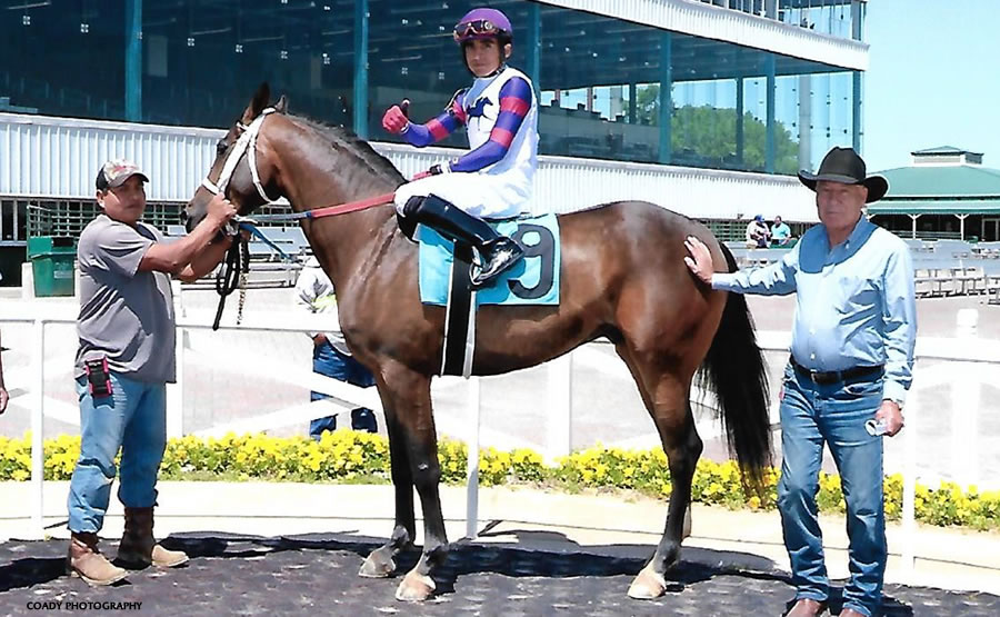 BELLFASTT, Arabian Racehorse bred by Cre Run