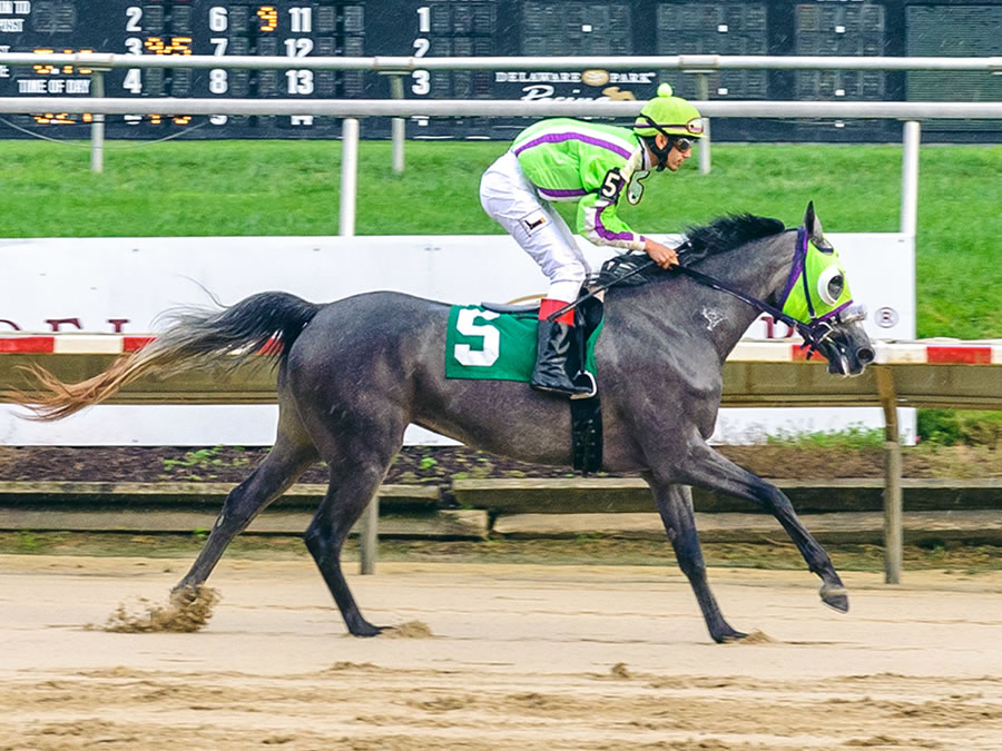 A Real Diva, race winner at Delaware Park, owned and bred by Cre Run
