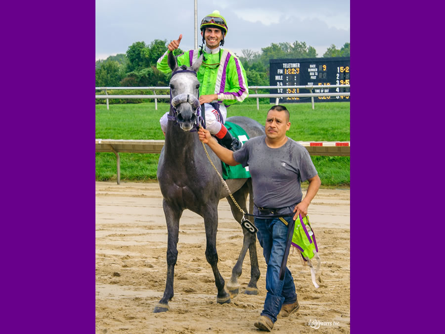 A Real Diva, race winner at Delaware Park, owned and bred by Cre Run