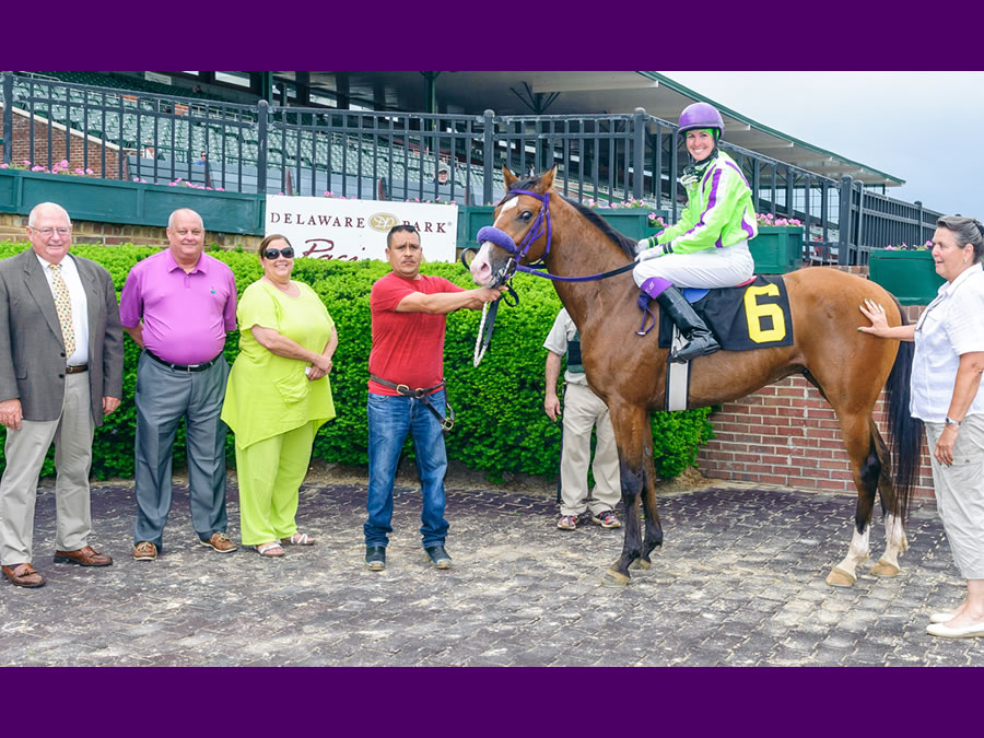 Colors In Motion - Arabian race winner bred by Cre Run