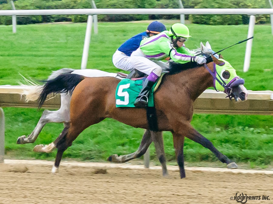 COLORS IN MOTION Dahess x Ovour The Rainbow