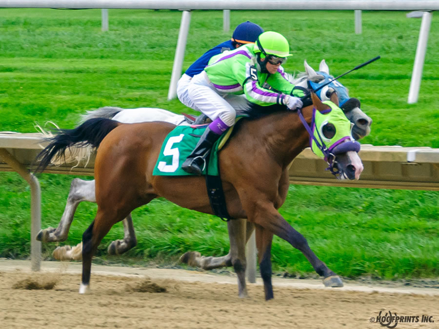 COLORS IN MOTION Dahess x Ovour The Rainbow