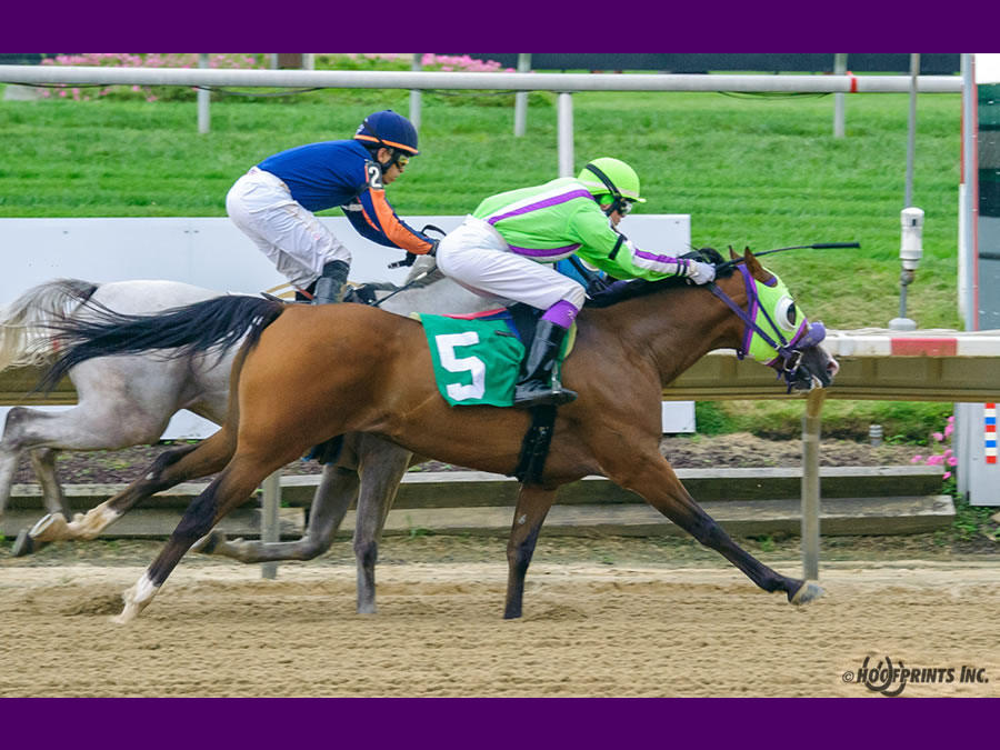 COLORS IN MOTION Dahess x Ovour The Rainbow