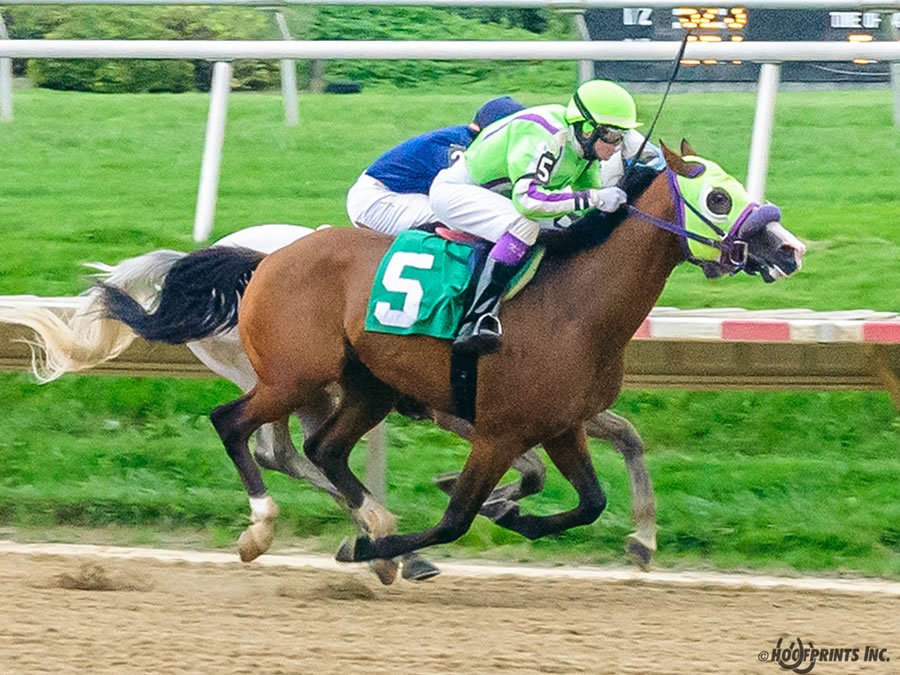 COLORS IN MOTION Dahess x Ovour The Rainbow