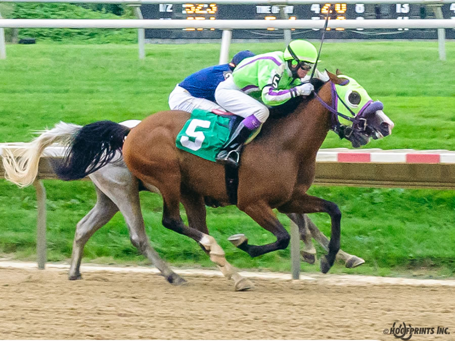 COLORS IN MOTION Dahess x Ovour The Rainbow