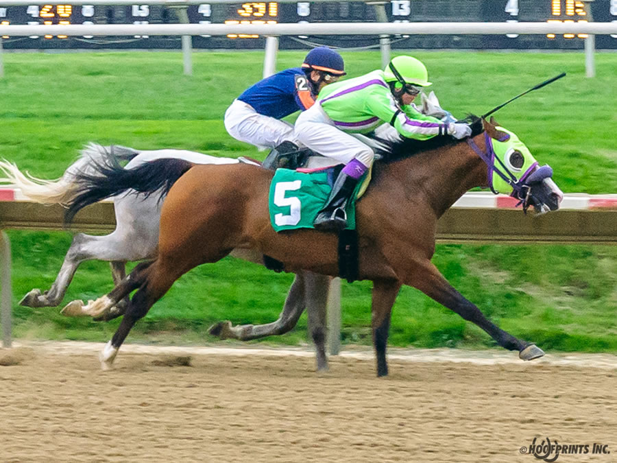 COLORS IN MOTION Dahess x Ovour The Rainbow