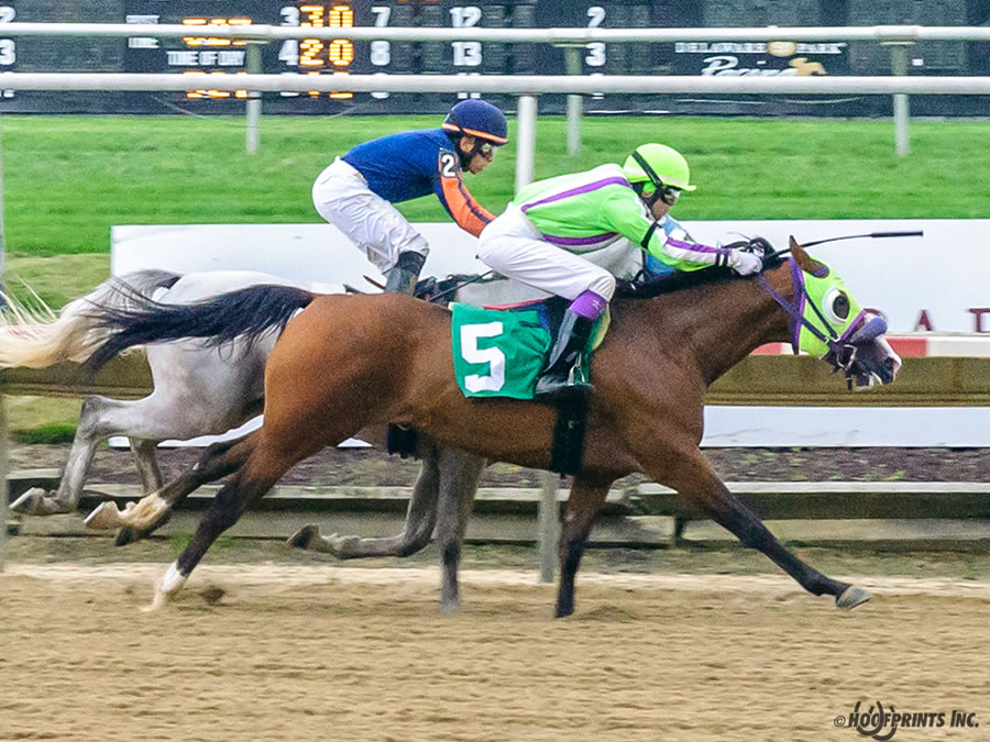 COLORS IN MOTION Dahess x Ovour The Rainbow