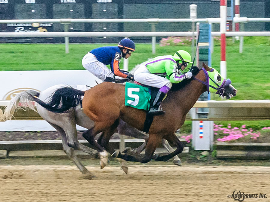 COLORS IN MOTION Dahess x Ovour The Rainbow