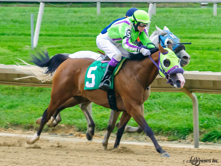 COLORS IN MOTION Dahess x Ovour The Rainbow