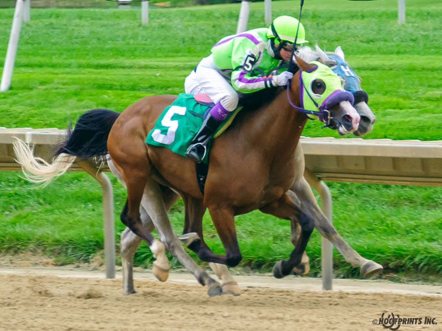 COLORS IN MOTION Dahess x Ovour The Rainbow