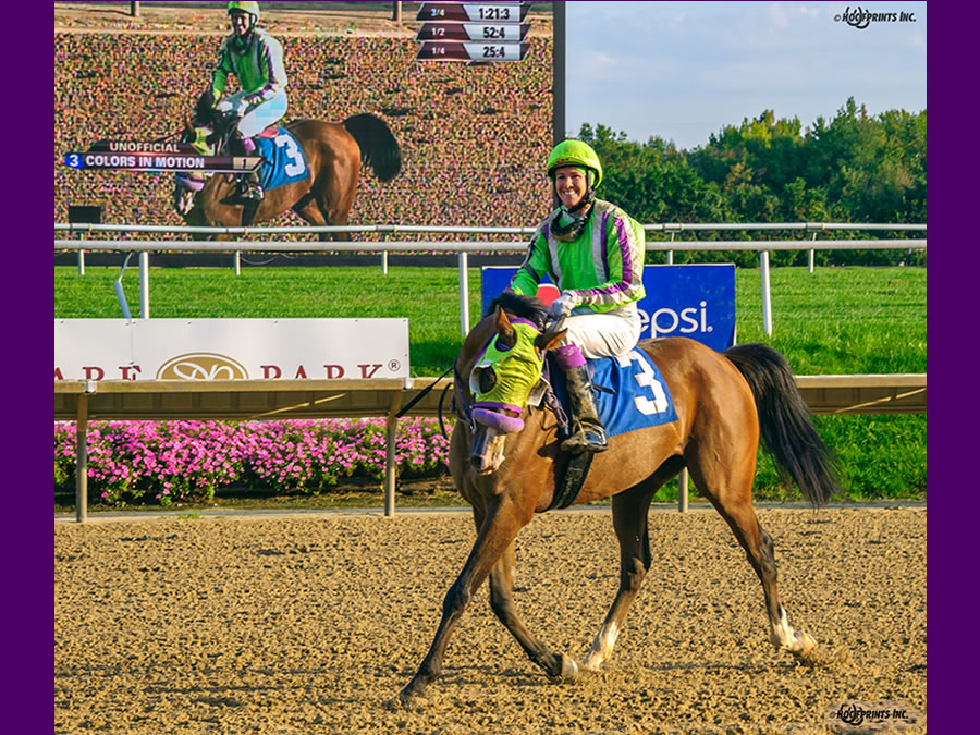 COLORS IN MOTION, BY DAHESS bred by CRE RUN FARM