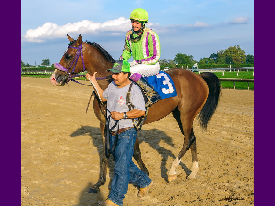 COLORS IN MOTION, BY DAHESS bred by CRE RUN FARM