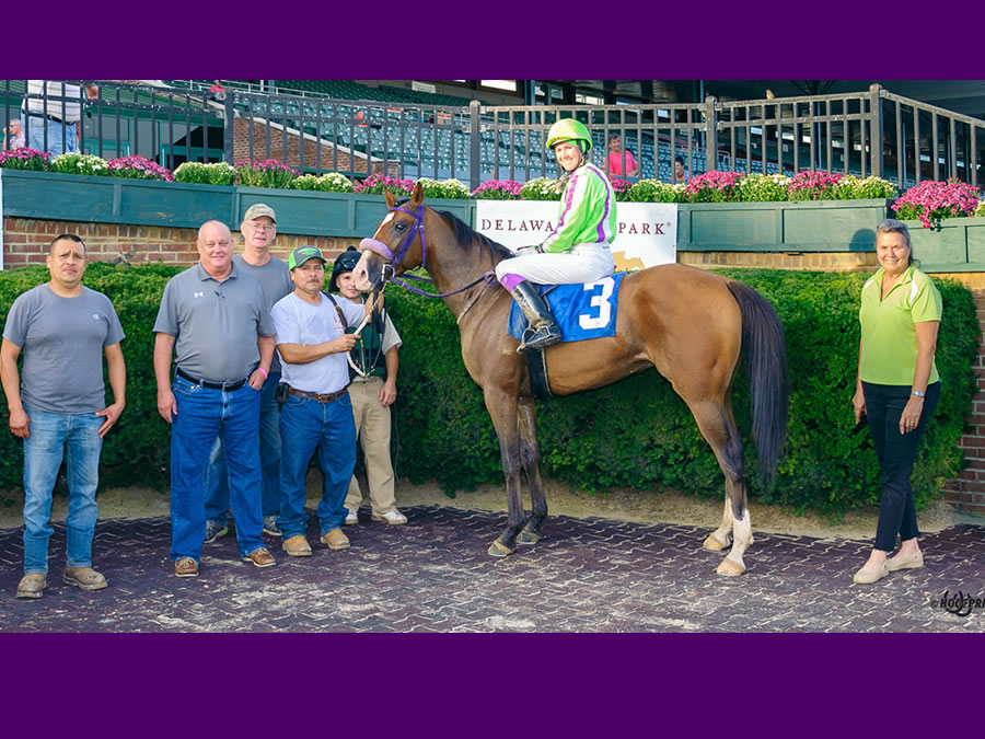 COLORS IN MOTION, BY DAHESS bred by CRE RUN FARM