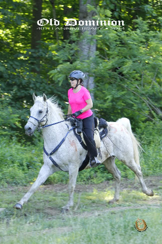 SheikSheikSheik (Samsheik x CR Dasire) and Teri Carroll (owned by Bob Walsh)