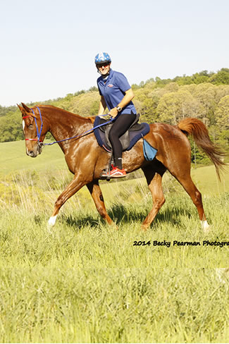 Most Likely running 5th at Biltmore