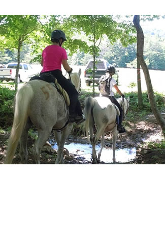 Most Likley at Old Dominion