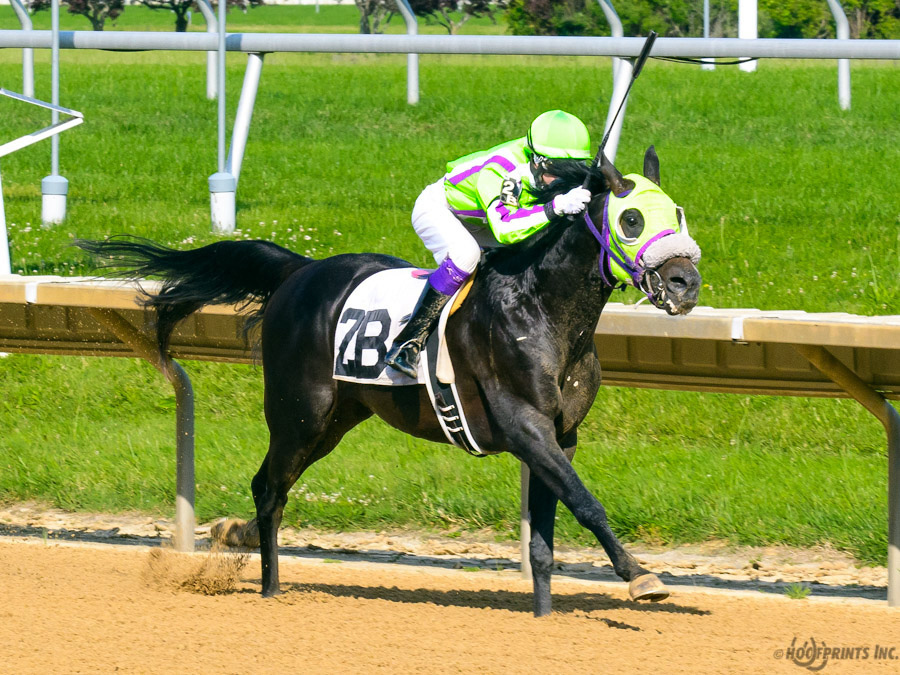 JimDandy Tothereshessq- Dahess x In Awe