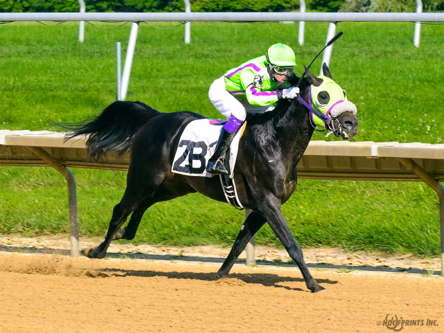 JimDandy Tothereshessq- Dahess x In Awe