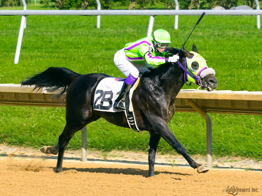 JimDandy Tothereshessq- Dahess x In Awe