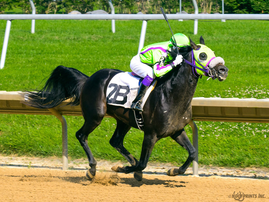 JimDandy Tothereshessq- Dahess x In Awe