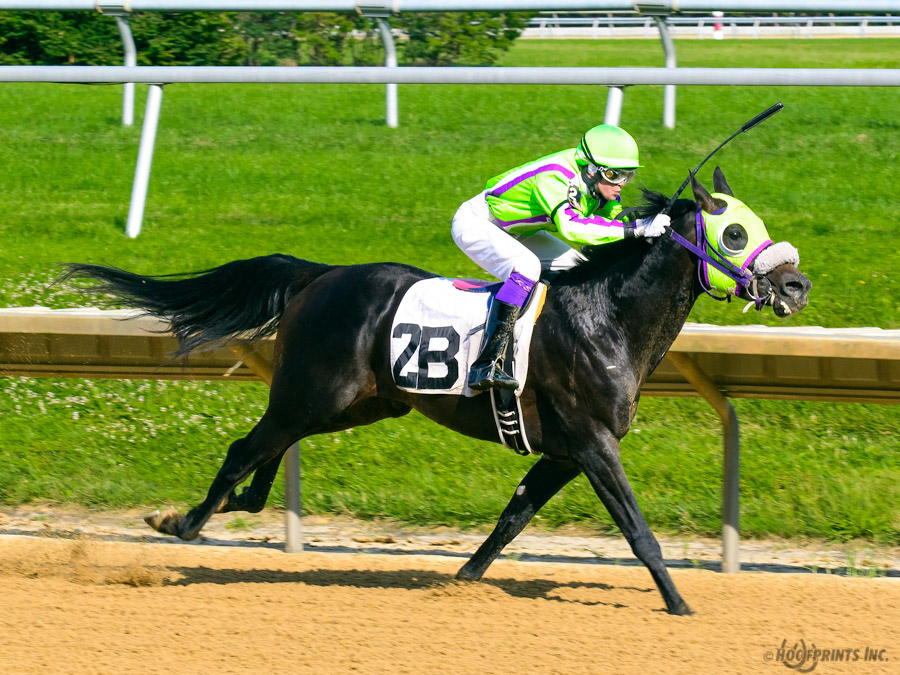 JimDandy Tothereshessq- Dahess x In Awe