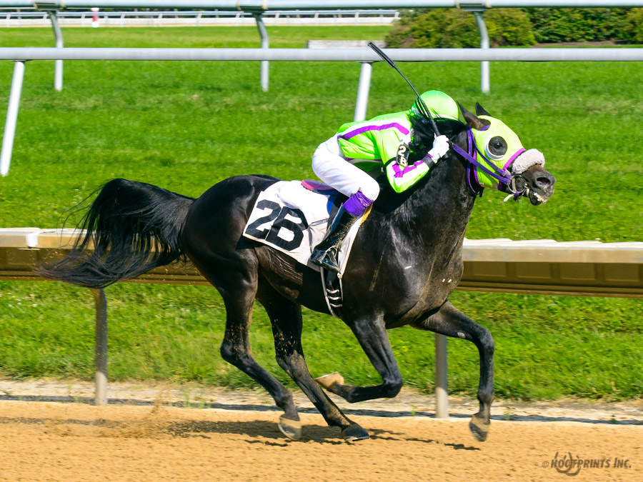 JimDandy Tothereshessq- Dahess x In Awe