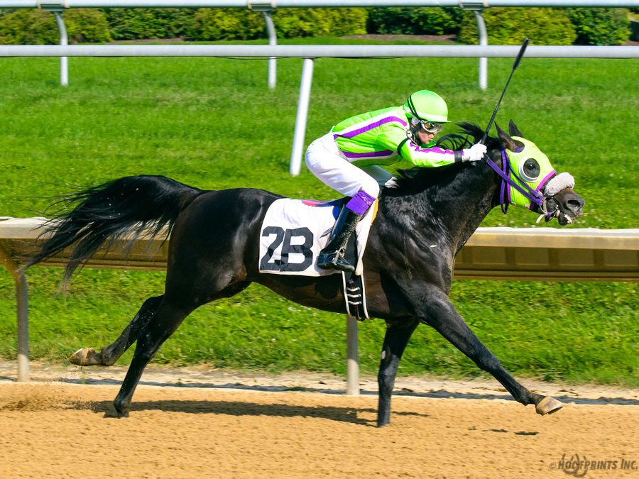 JimDandy Tothereshessq- Dahess x In Awe