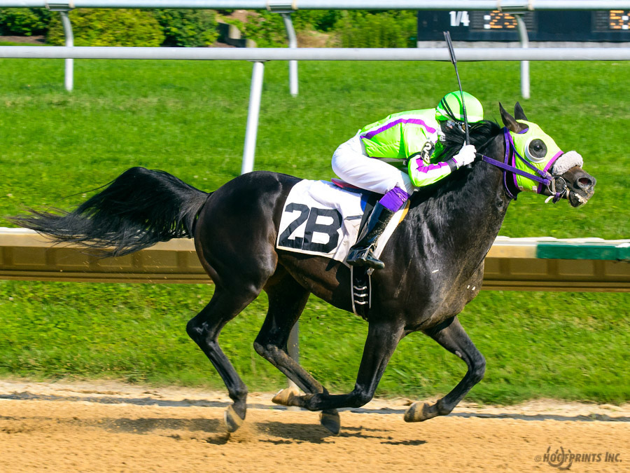 JimDandy Tothereshessq- Dahess x In Awe