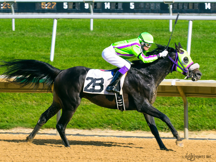 JimDandy Tothereshessq- Dahess x In Awe