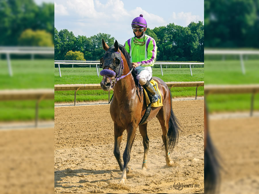 Madjikman Madjani x Rubie Rose