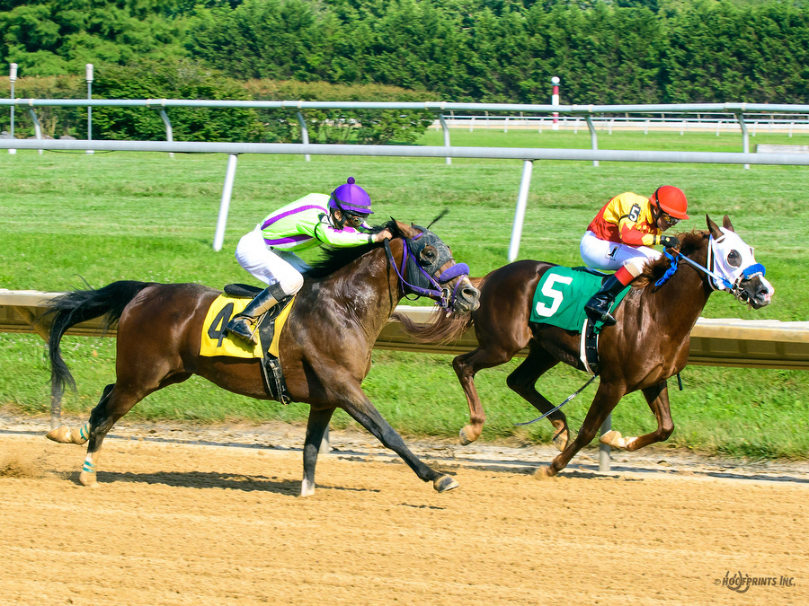 Madjikman Madjani x Rubie Rose