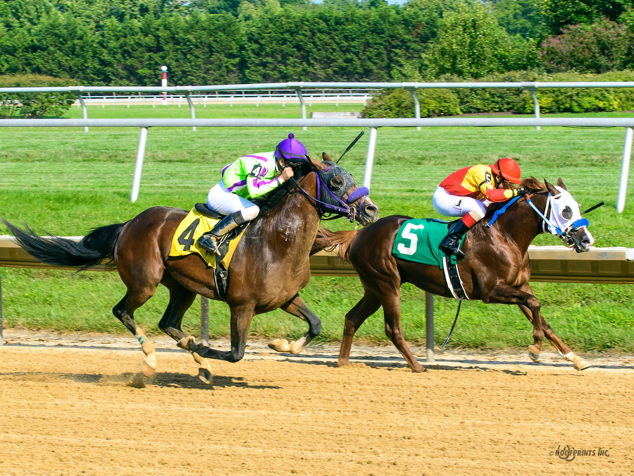 Madjikman Madjani x Rubie Rose