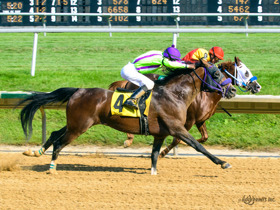 Madjikman Madjani x Rubie Rose