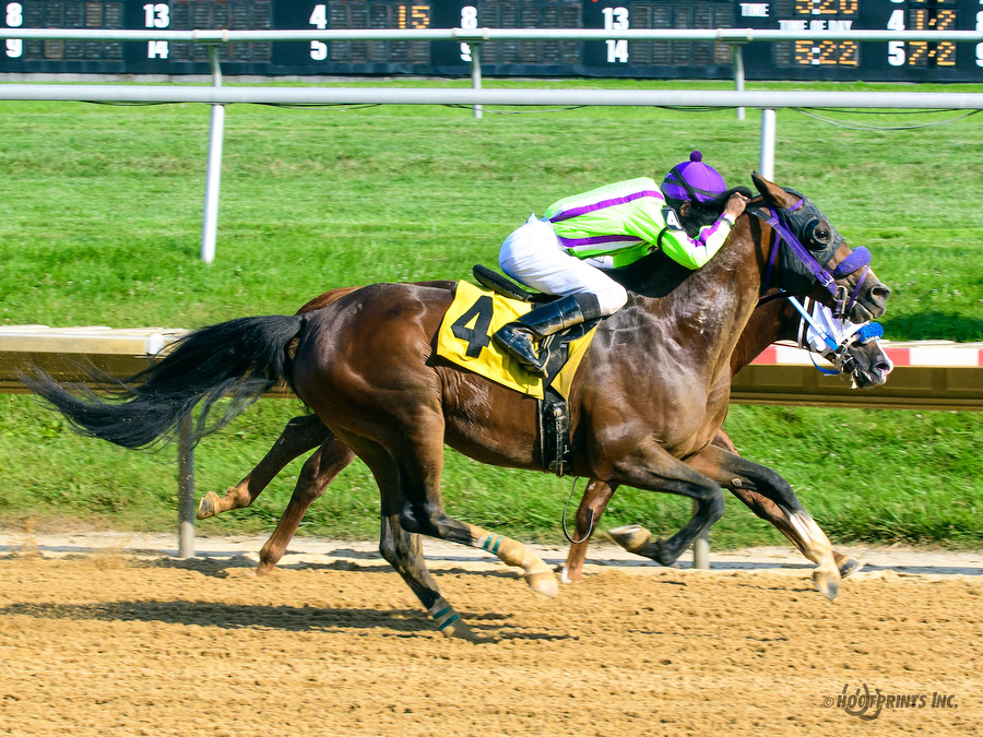  Madjikman Madjani x Rubie Rose