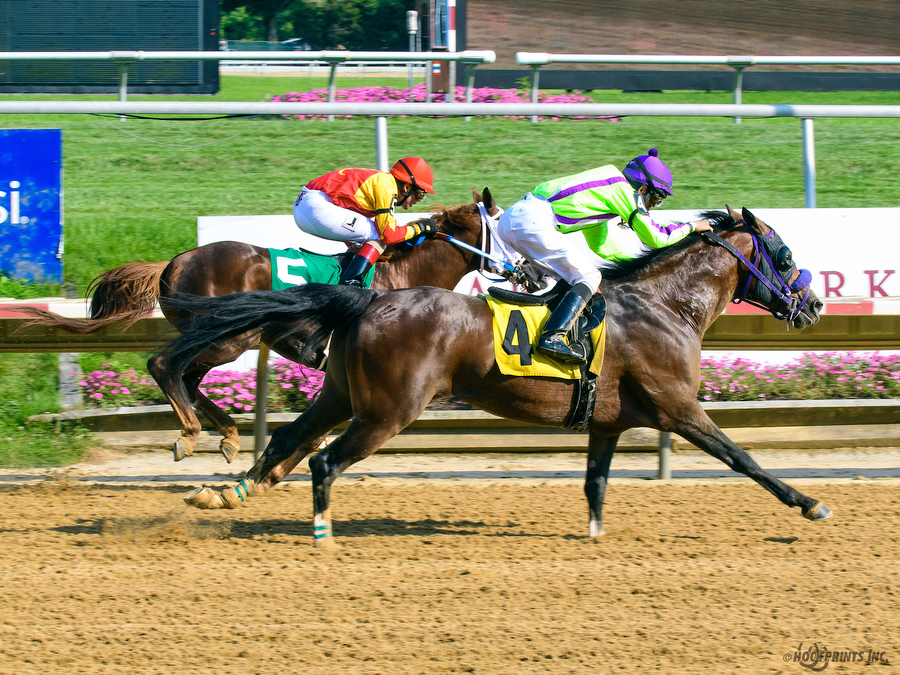 Madjikman Madjani x Rubie Rose