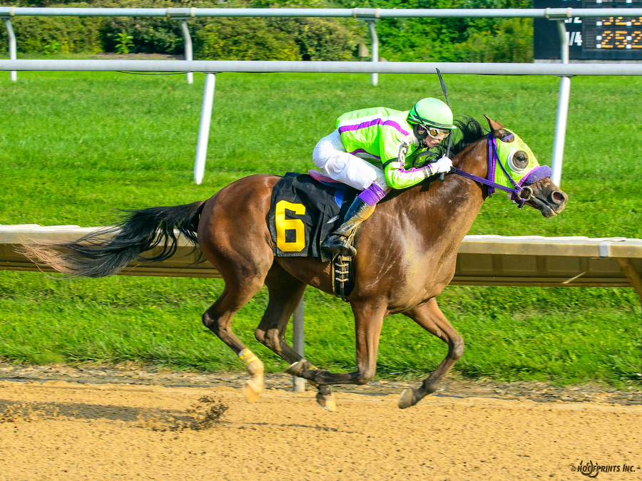 Royally Bred by Cre Run, Thoroughbred x Royal Atheena