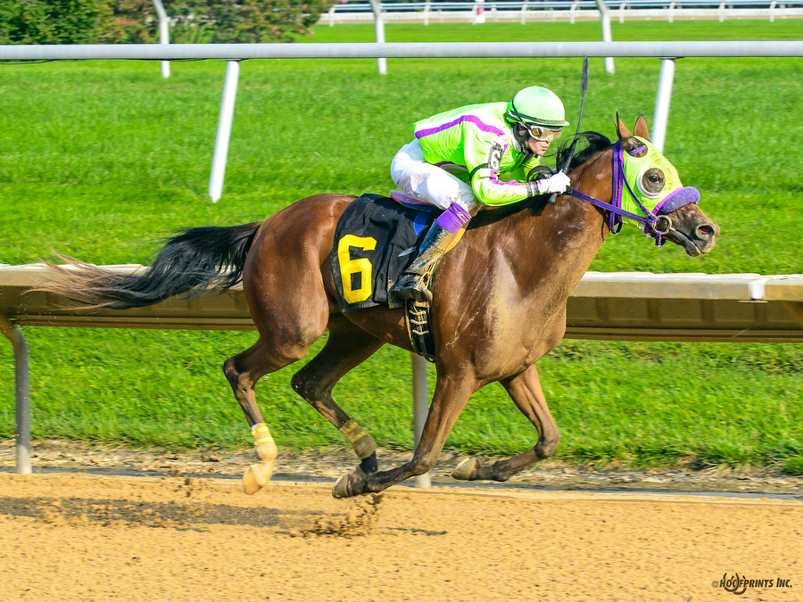 Royally Bred by Cre Run, Thoroughbred x Royal Atheena