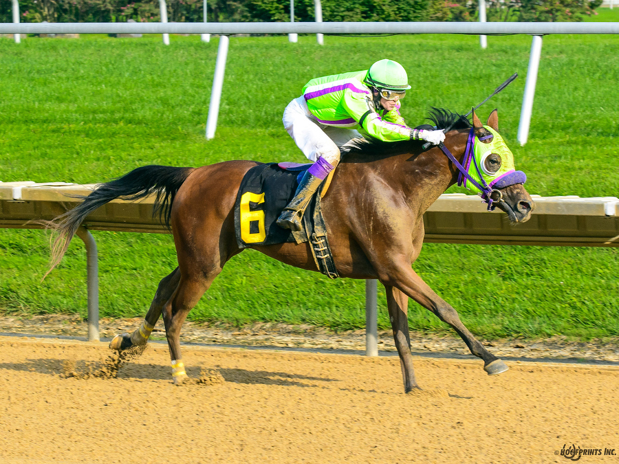 Royally Bred by Cre Run, Thoroughbred x Royal Atheena