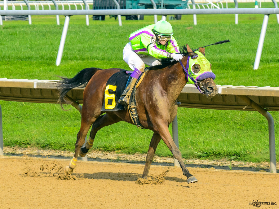 Royally Bred by Cre Run, Thoroughbred x Royal Atheena