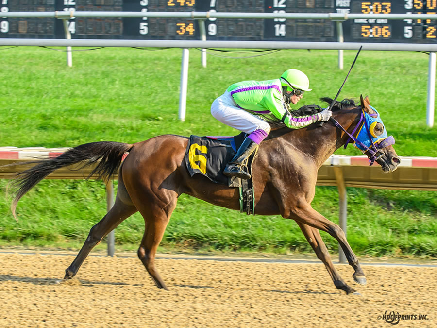 Royally Bred -Thoroughbred x Royal Atheena, bred by Cre Run