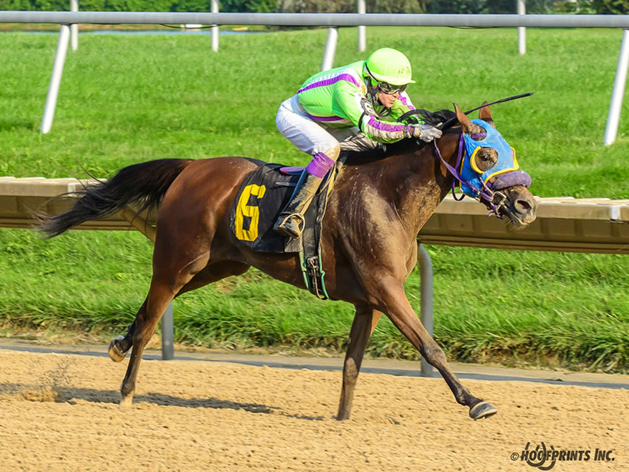 Royally Bred -Thoroughbred x Royal Atheena, bred by Cre Run