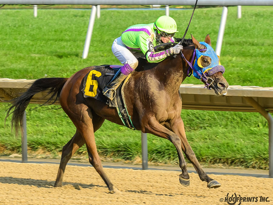 Royally Bred -Thoroughbred x Royal Atheena, bred by Cre Run