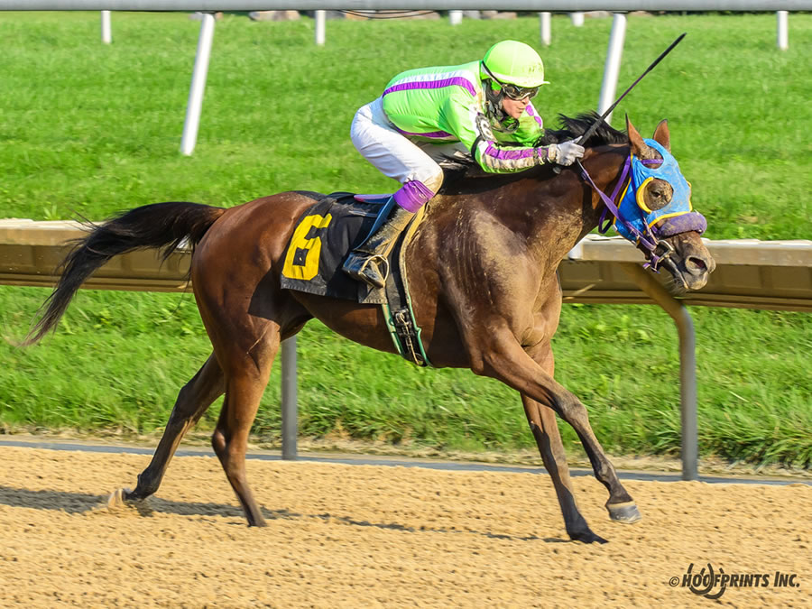 Royally Bred -Thoroughbred x Royal Atheena, bred by Cre Run