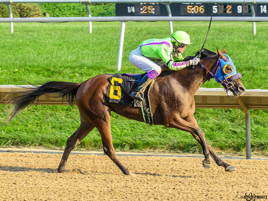 Royally Bred -Thoroughbred x Royal Atheena, bred by Cre Run