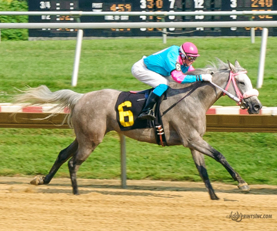 Taylors Touchof Class, Dahess x Toppoftheclass