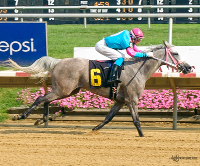 Taylors Touchof Class, Dahess x Toppoftheclass