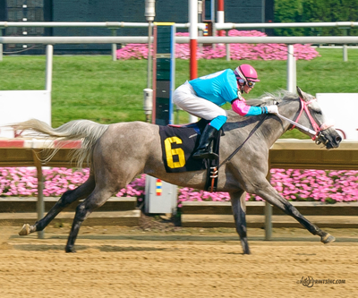 Taylors Touchof Class, Dahess x Toppoftheclass