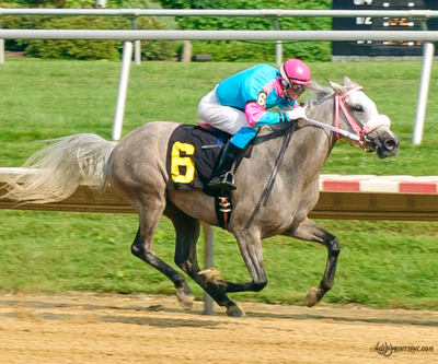 Taylors Touchof Class, Dahess x Toppoftheclass