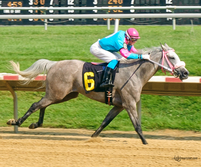 Taylors Touchof Class, Dahess x Toppoftheclass