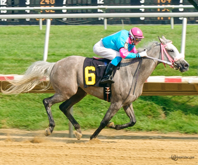 Taylors Touchof Class, Dahess x Toppoftheclass